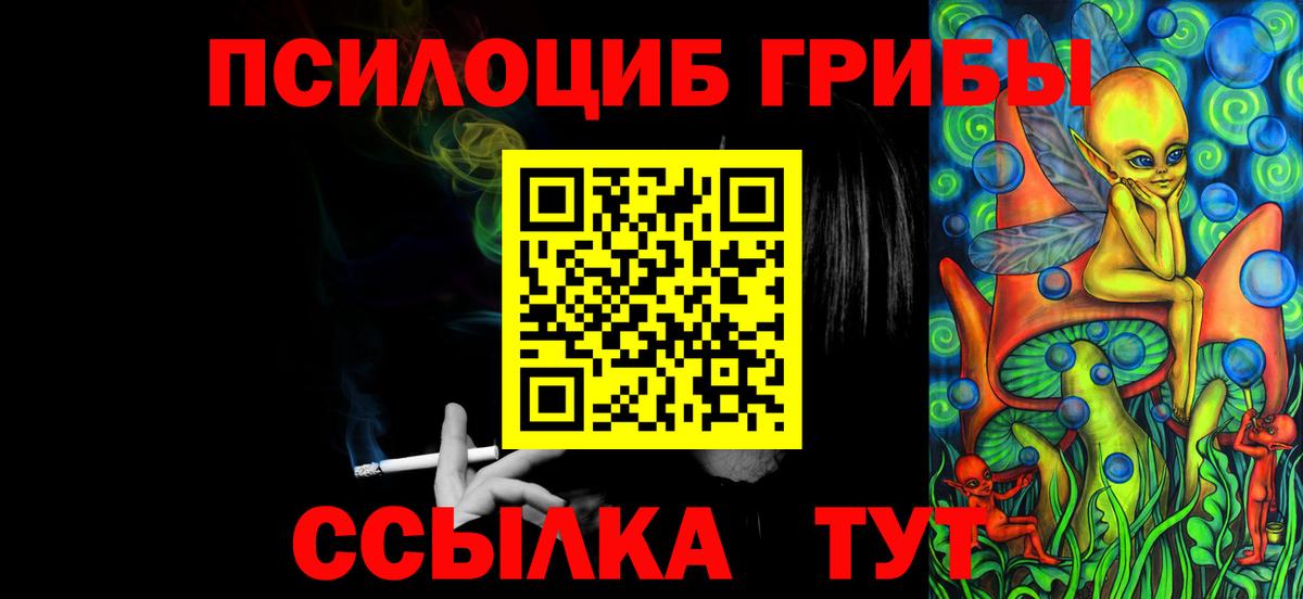 Галлюциногенные грибы Magic Shrooms Тара
